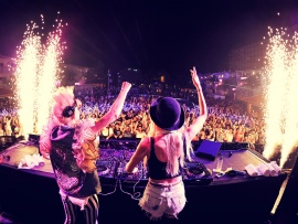 Nervo (click to view)