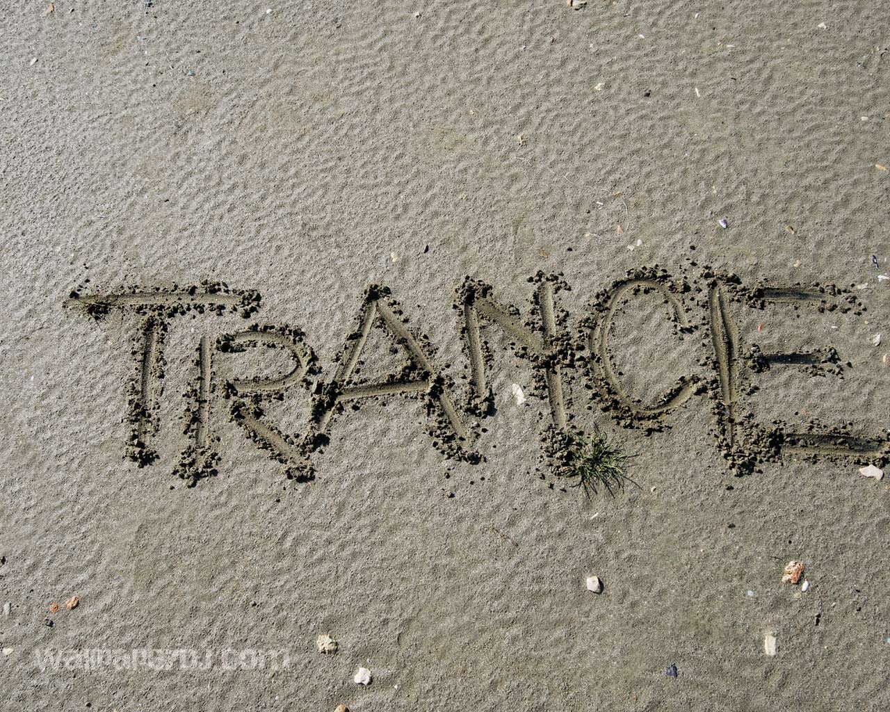 Trance On The Beach HD and Wide Wallpapers