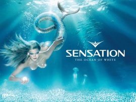 Sensation White (click to view)
