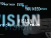 You Need Vision