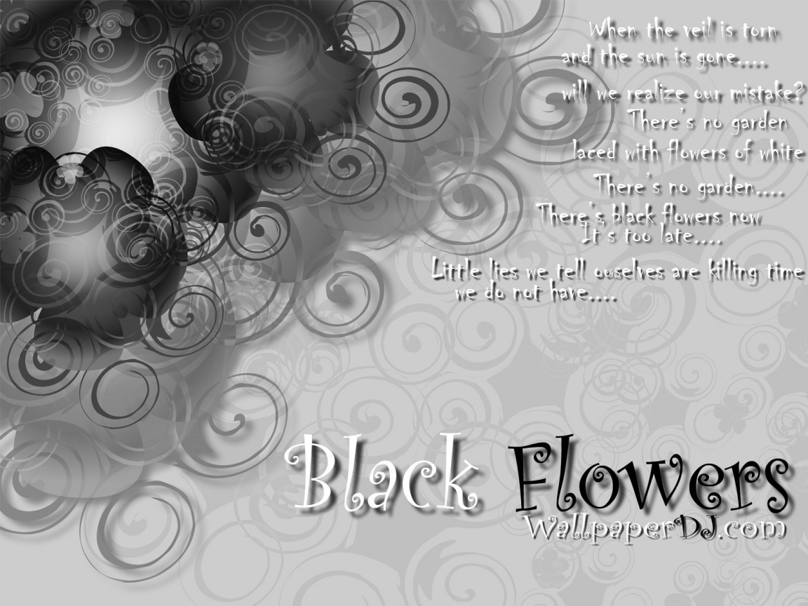 Black Flowers Lyrics HD and Wide Wallpapers