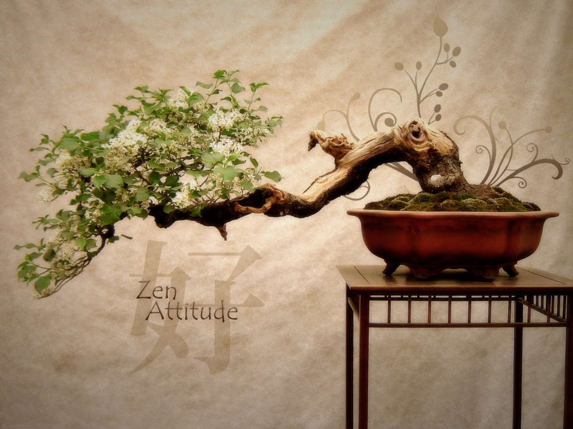 Zen attitude HD and Wide Wallpapers